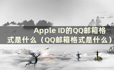 Apple ID的QQ邮箱格式是什么（QQ邮箱格式是什么）